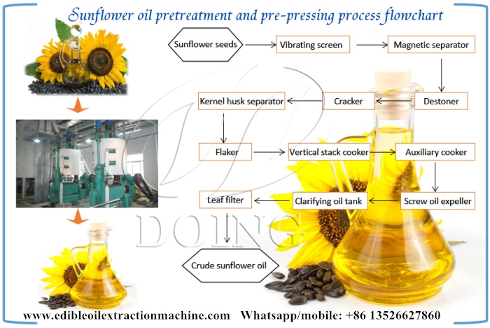 proceso de producción de aceite de girasol