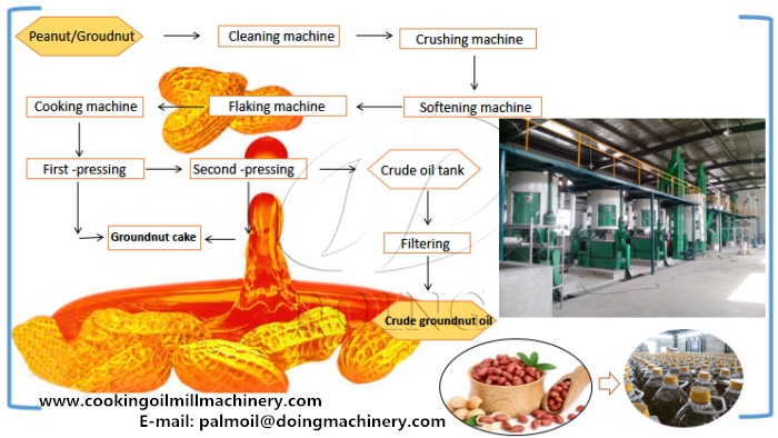 proceso de producción de aceite de maní