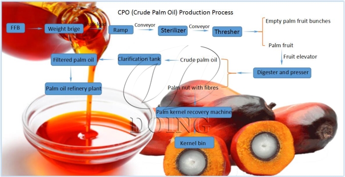 proceso de producción de aceite de palma