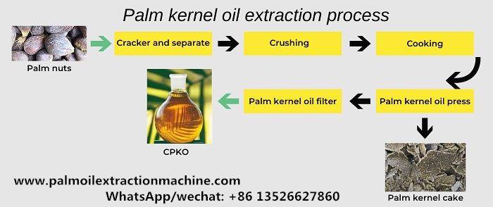 proceso de producción de aceite de palmiste