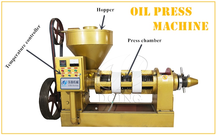 Máquina prensadora de aceite automática con temperatura controlada