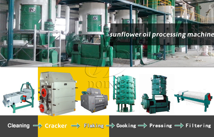 La diferente capacidad de procesamiento de la planta procesadora de aceite de girasol necesita diferentes tipos de máquina procesadora de aceite de girasol