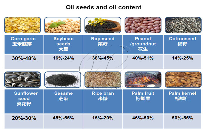 Semillas oleaginosas y contenido de aceite