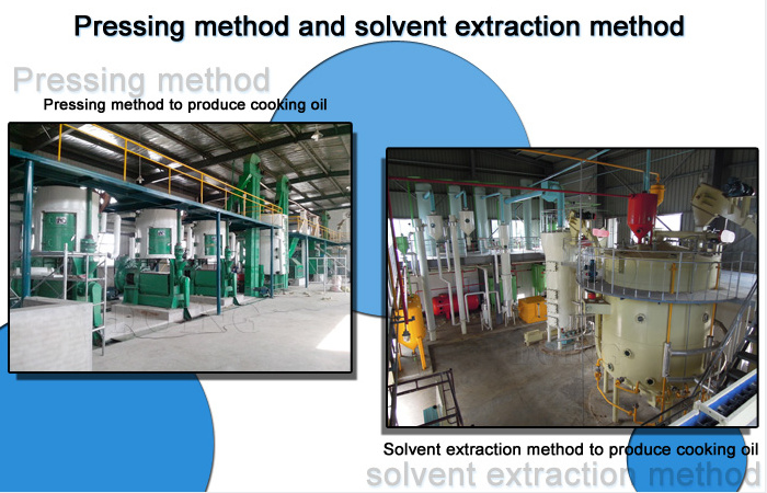 Método de prensado físico de aceite de girasol y método de extracción química con solvente