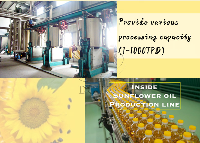 Máquina procesadora de aceite de girasol y aceite de girasol