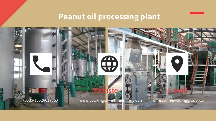 ¿Cuánto cuesta establecer una planta de procesamiento de aceite de maní en Nigeria?