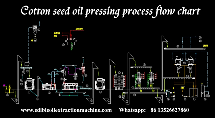 700棉籽压榨工艺.jpg