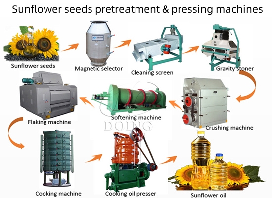 Máquina procesadora de aceite de girasol