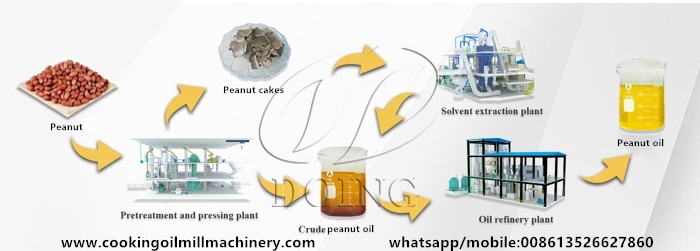 proceso de fabricación de aceite de maní