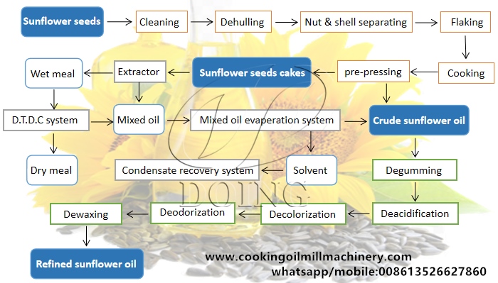 proceso de extracción de aceite de girasol