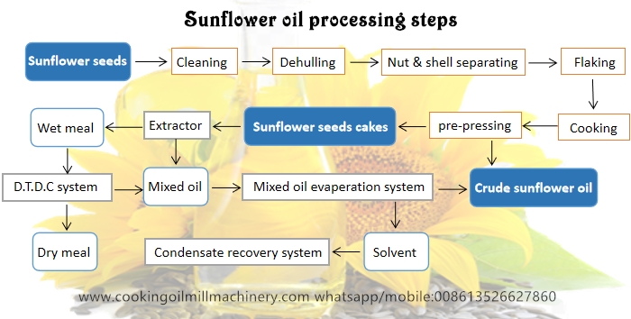 pasos de procesamiento de aceite de girasol