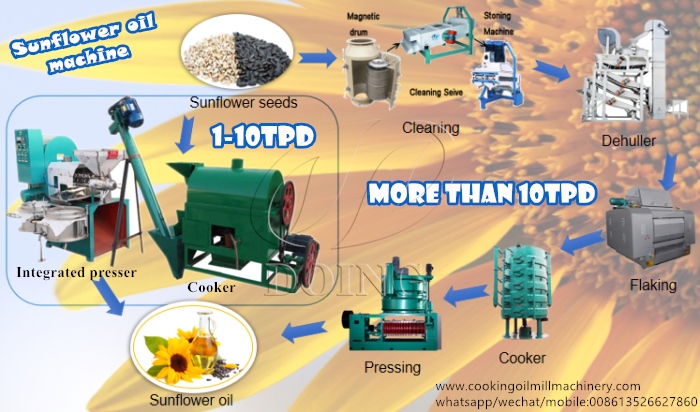 máquina de extracción de aceite de girasol