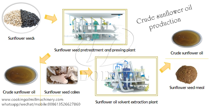 proceso de producción de aceite de girasol