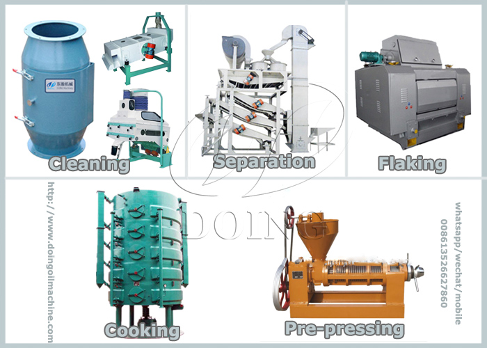 proceso de prensa de aceite de girasol 