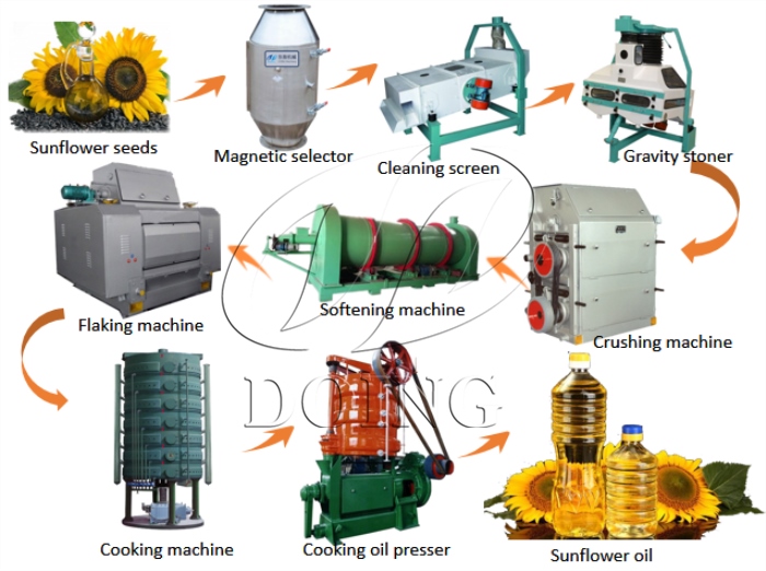 máquina procesadora de aceite de girasol 