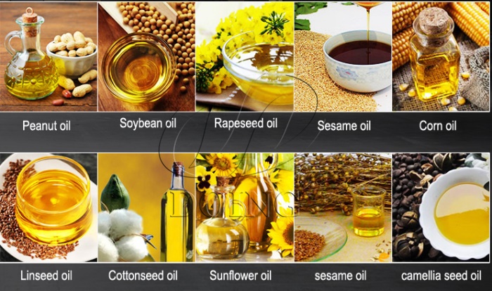 diferentes materias primas de semillas oleaginosas