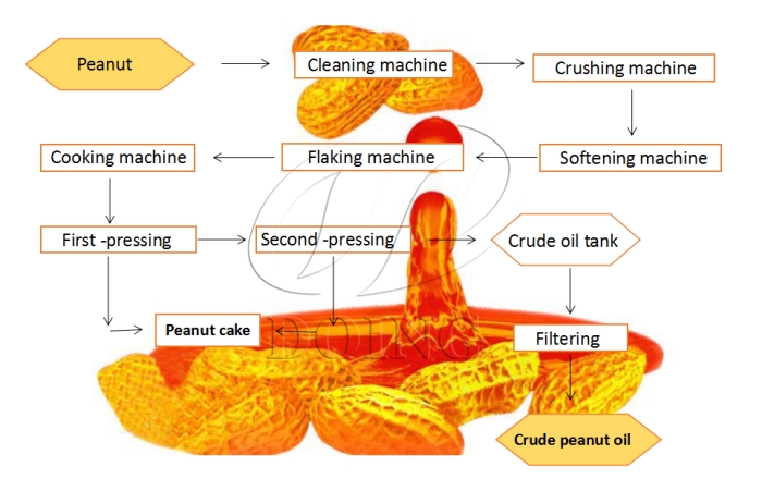 Proceso de procesamiento de aceite de maní