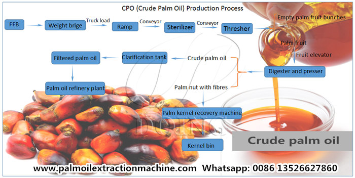 Proceso de producción de aceite de palma crudo